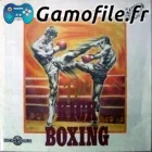 The Kick Boxing