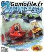 Swamp Buggy Racing