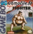 Sumo Fighter