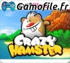 Crazy Hamster