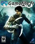 Dark Sector