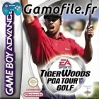 Tiger Woods PGA Tour Golf