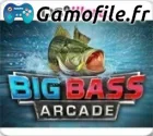 Big Bass Arcade
