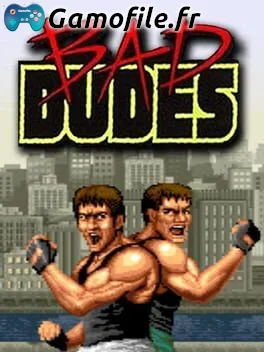 Bad Dudes
