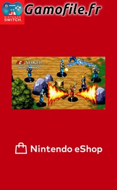 ACA NEOGEO NINJA COMMANDO