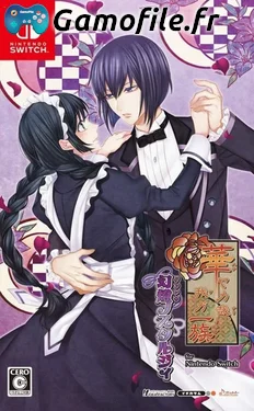 Hanayaka Nari Waga Ichizoku: Gento Nostalgie for Nintendo Switch