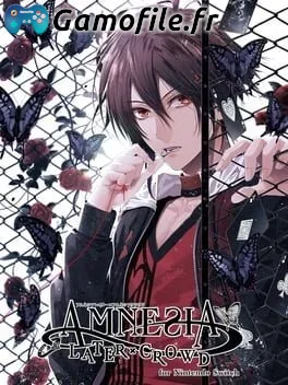 AMNESIA LATER Ã— CROWD for Nintendo Switch