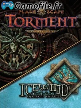 Planescape: Torment and Icewind Dale