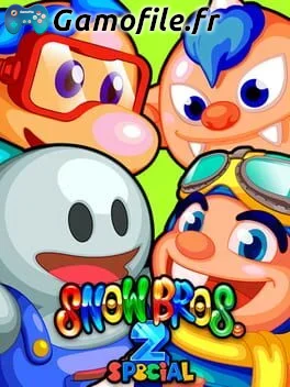 Snow Bros. Special