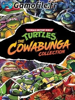 Teenage Mutant Ninja Turtles: The Cowabunga Collection
