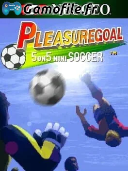 ACA Neo Geo: Pleasure Goal - 5 on 5 Mini Soccer