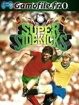 ACA Neo Geo: Super Sidekicks