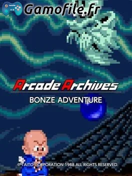 Arcade Archives: Bonze Adventure