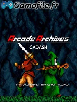 Arcade Archives: Cadash