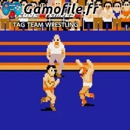 Arcade Archives 2: Tag Team Wrestling